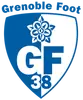 格勒诺布尔
