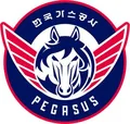 大邱石油公社飞马队徽