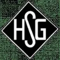 霍尔济姆SG队徽