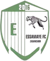 埃萨马耶FC队徽